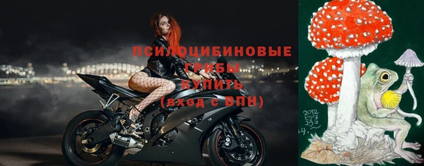 стаф Алексеевка